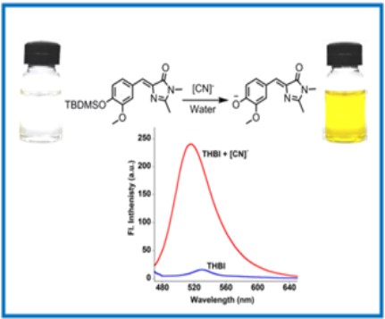 CyanideSensingFlourscentProteinChromophore
